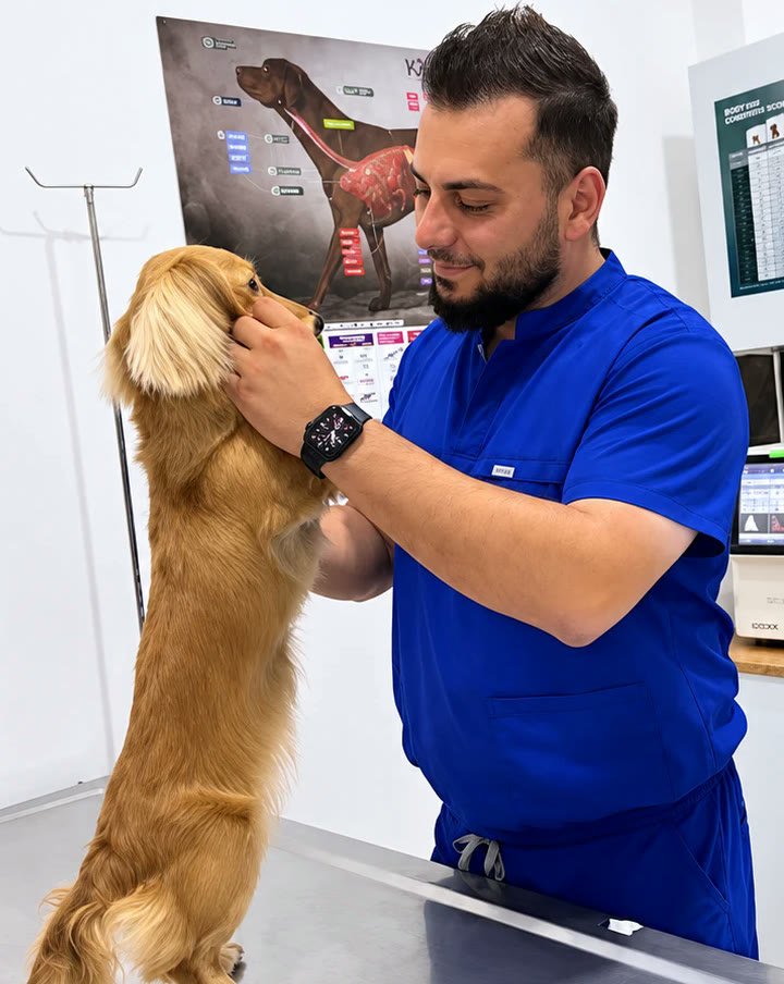 Vet. Hek. Yunus Şahin, köpek hastasını muayene ederken